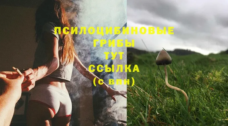 Псилоцибиновые грибы Psilocybine cubensis  продажа наркотиков  Тольятти 